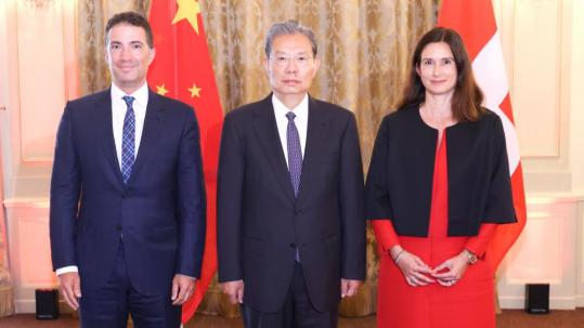 China's top legislator calls for high-level development of innovative strategic partnership with Switzerland